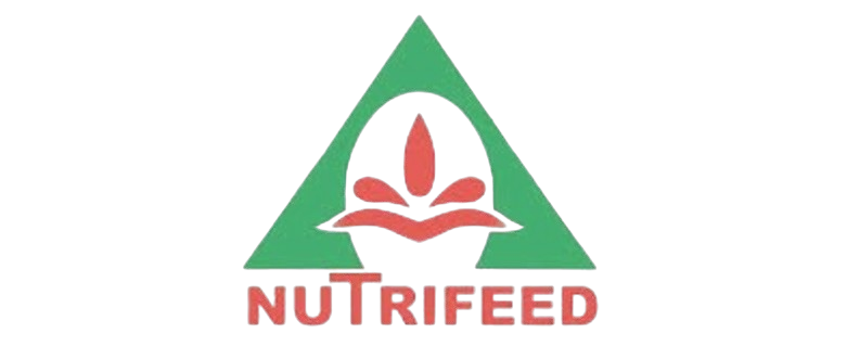 Mitra nusaQu